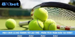 Mẹo chơi cá độ tennis từ cao thủ